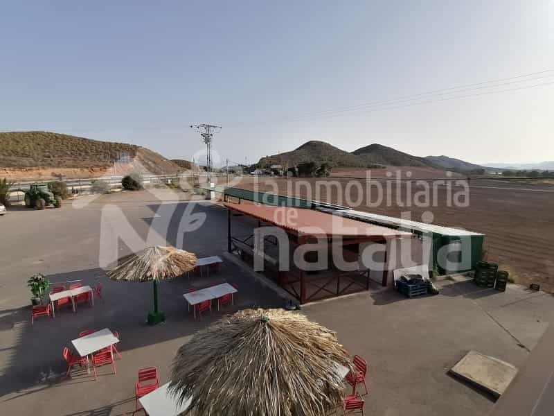 Розничная торговля в Águilas, Región de Murcia 11055436