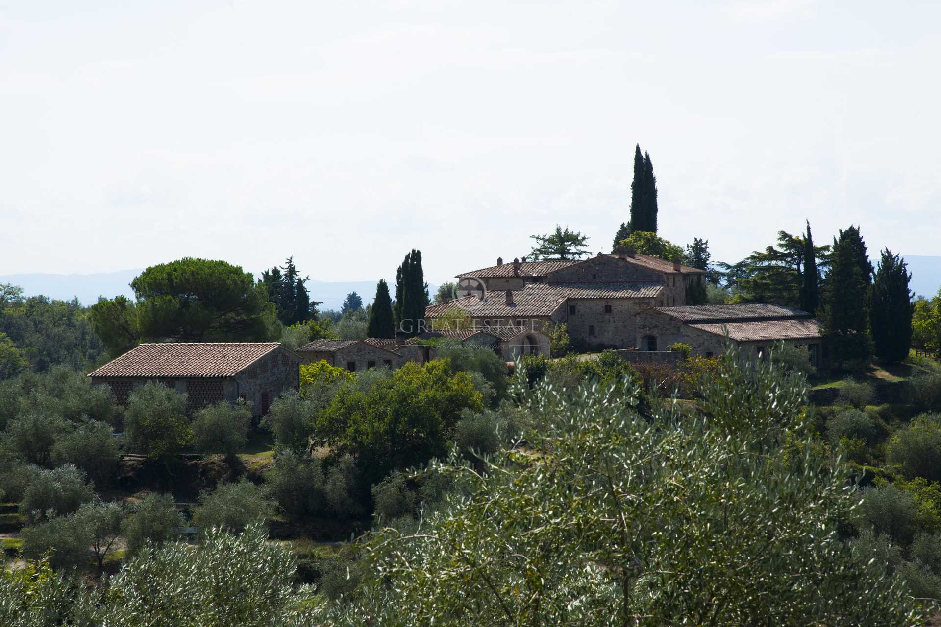 Other in Gaiole in Chianti, Tuscany 11055970