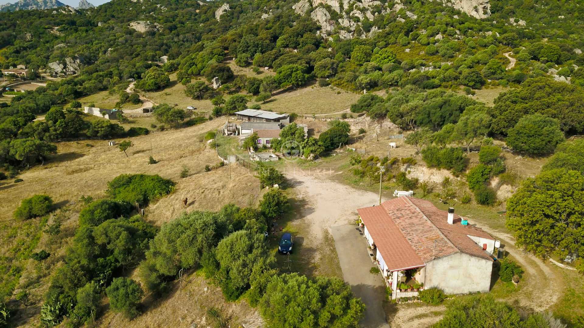 Будинок в Olbia, Sardinia 11056050