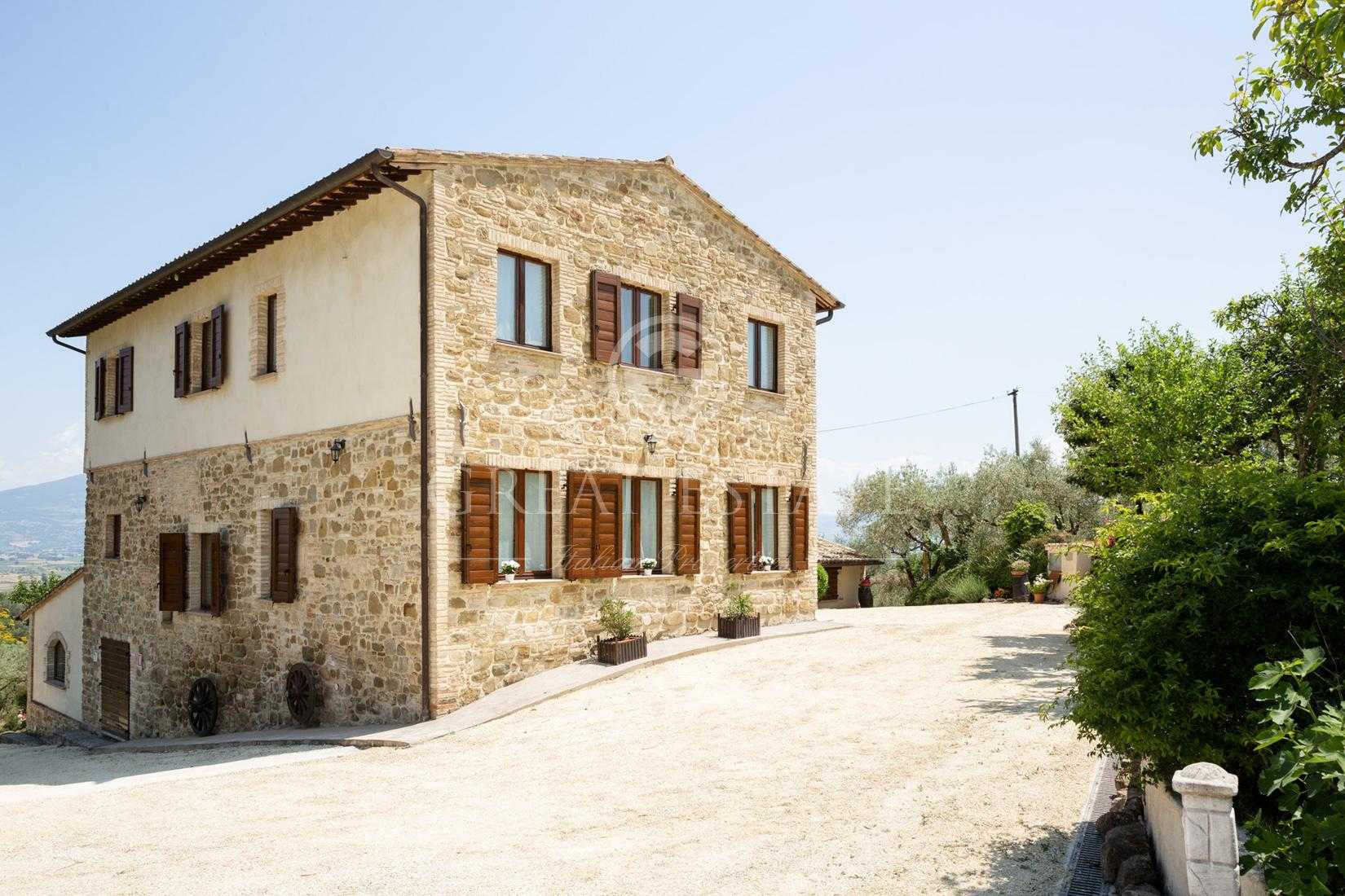 House in Cannara, Umbria 11056105