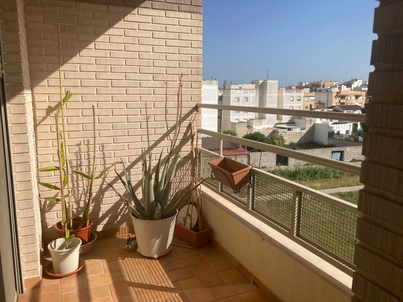 Condominium in Almoradí, Comunidad Valenciana 11056549