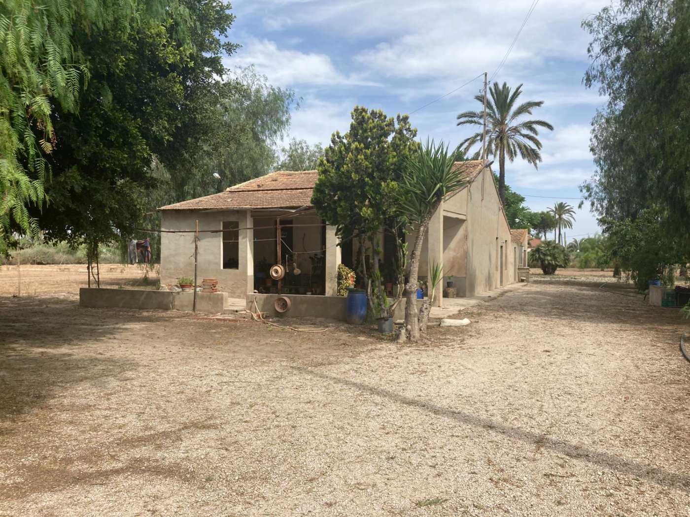 Dom w Elche, Valencian Community 11056698