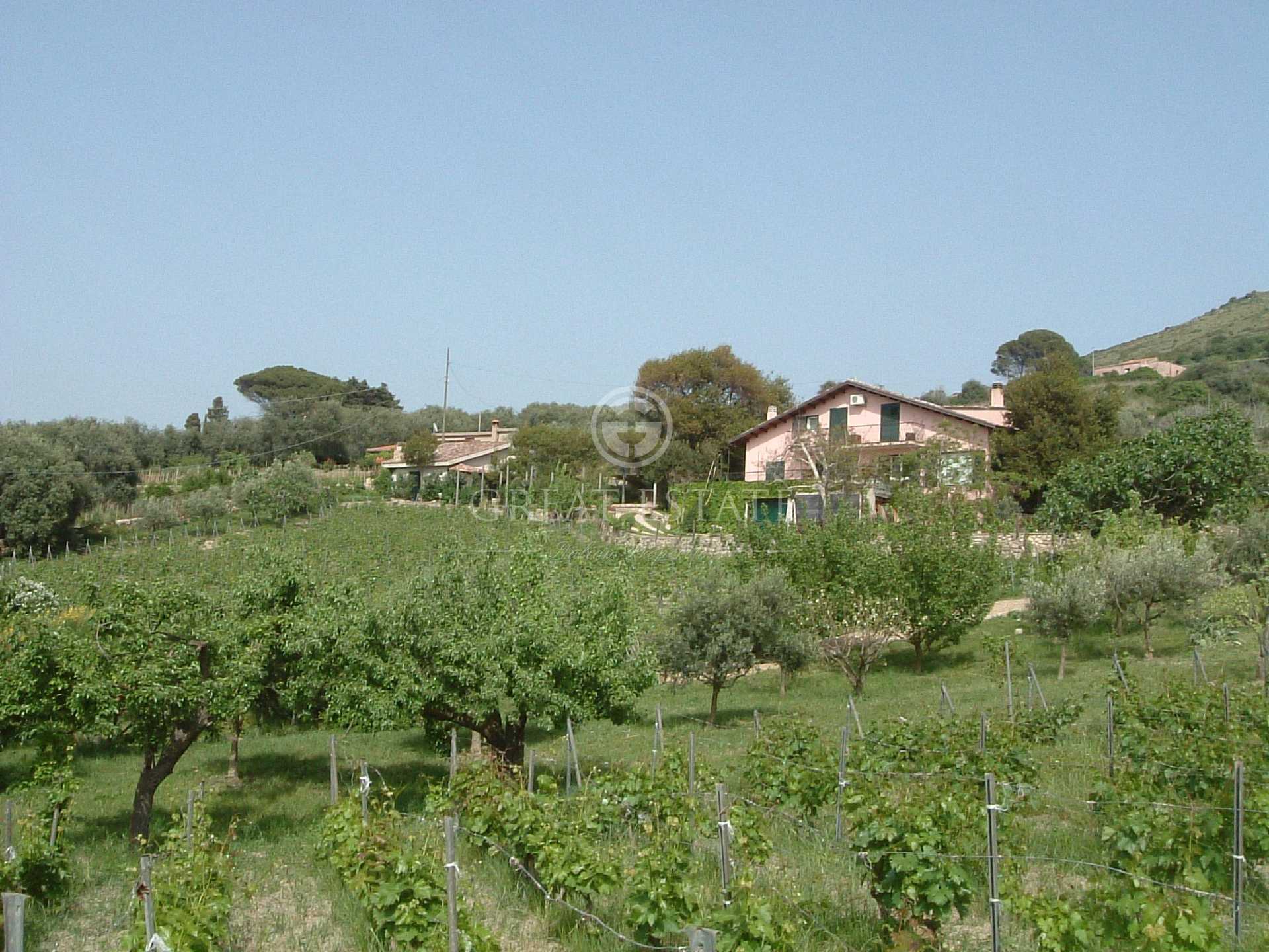 Casa nel Magomadas, Sardegna 11056757