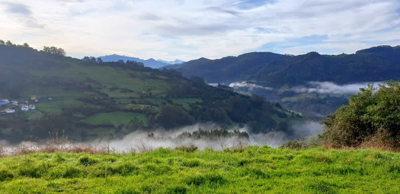 Land in Pravia, Asturias 11056851