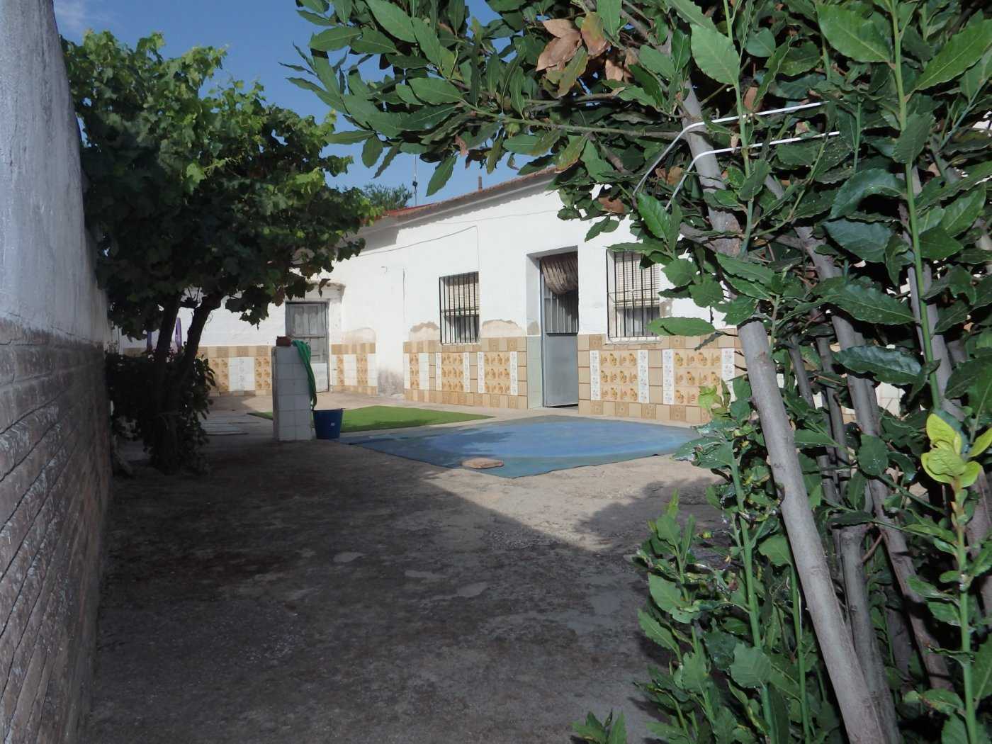 بيت في توريخوس, كاستيل لا مانشا 11057013