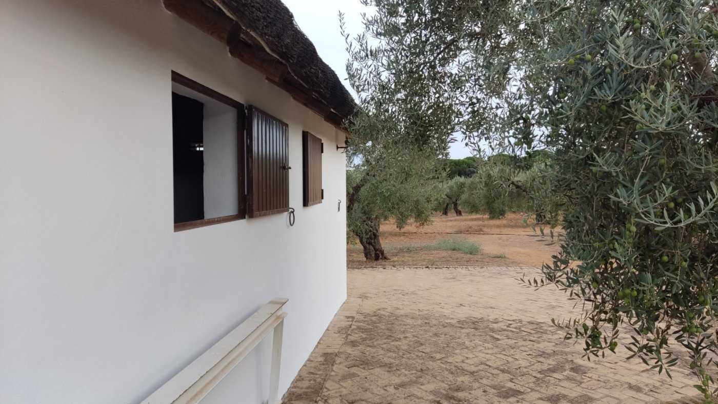 House in Villamanrique de la Condesa, Andalusia 11057025