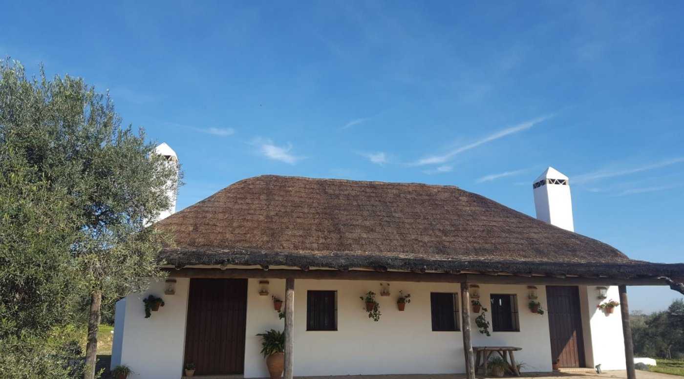 Rumah di Villamanrique de la Condesa, Andalusia 11057025