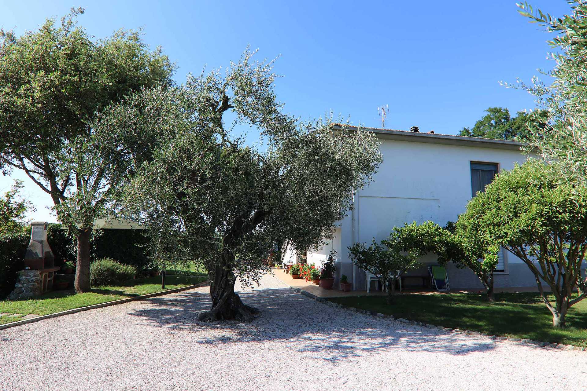 rumah dalam Castagneto Carducci, Tuscany 11057212