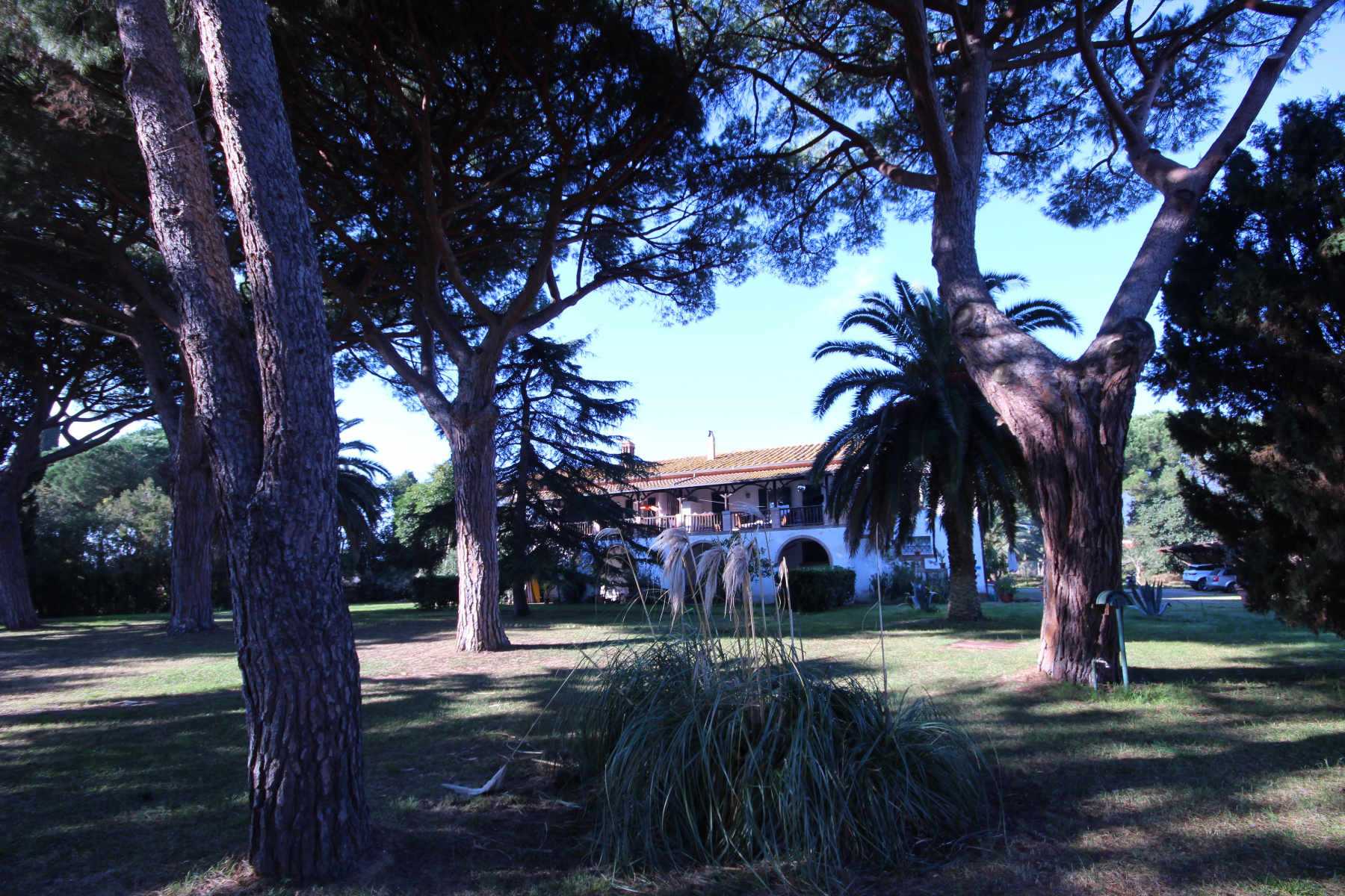 房子 在 Castiglione della Pescaia, Tuscany 11057945