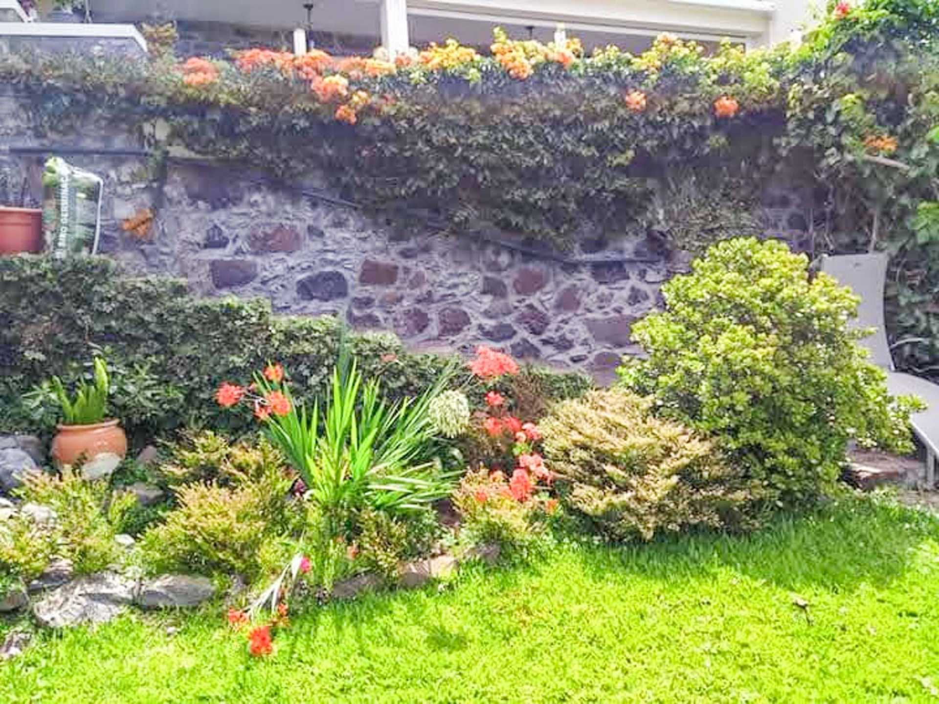 жилой дом в Arco da Calheta, Madeira 11062231