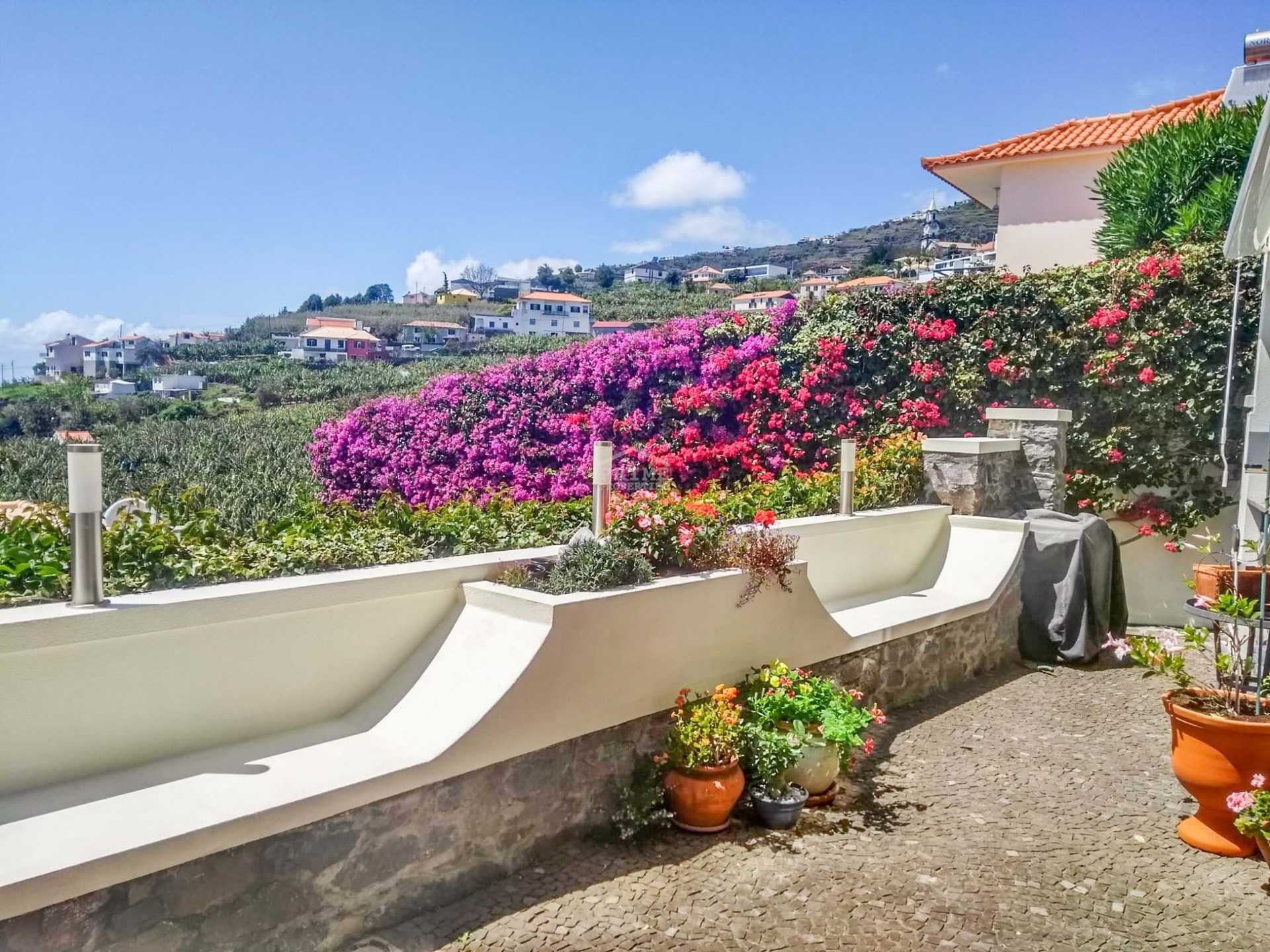 House in Achada de Cima, Madeira 11062231