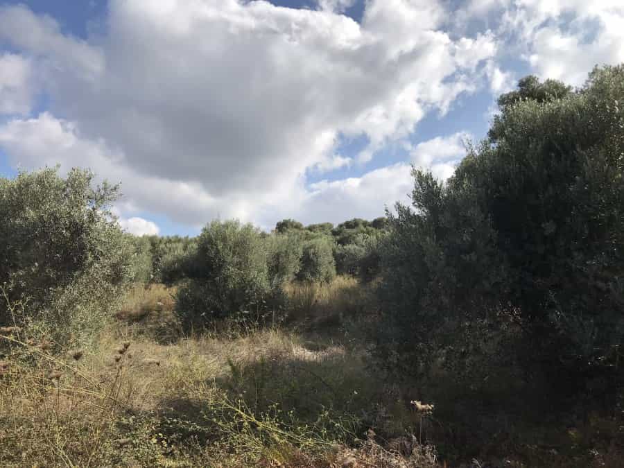 Tanah dalam Agios Antonios, Kriti 11063079