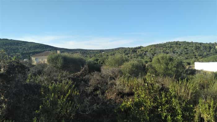 Land in Sotogrande, Andalusia 11063482