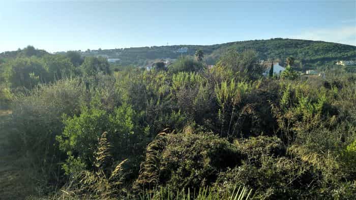 Land in Sotogrande, Andalusia 11063482