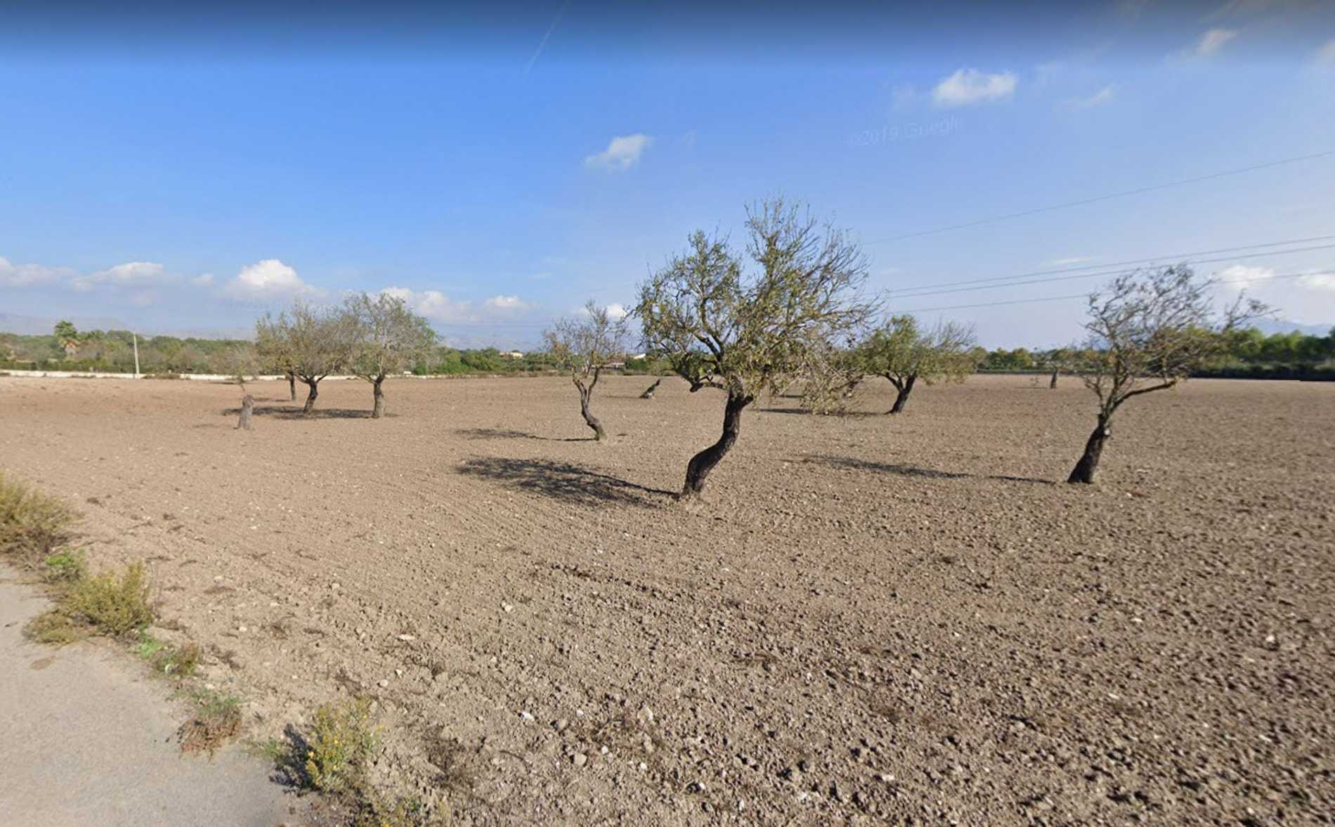 Tanah dalam Alcudia, Kepulauan Balearic 11064760