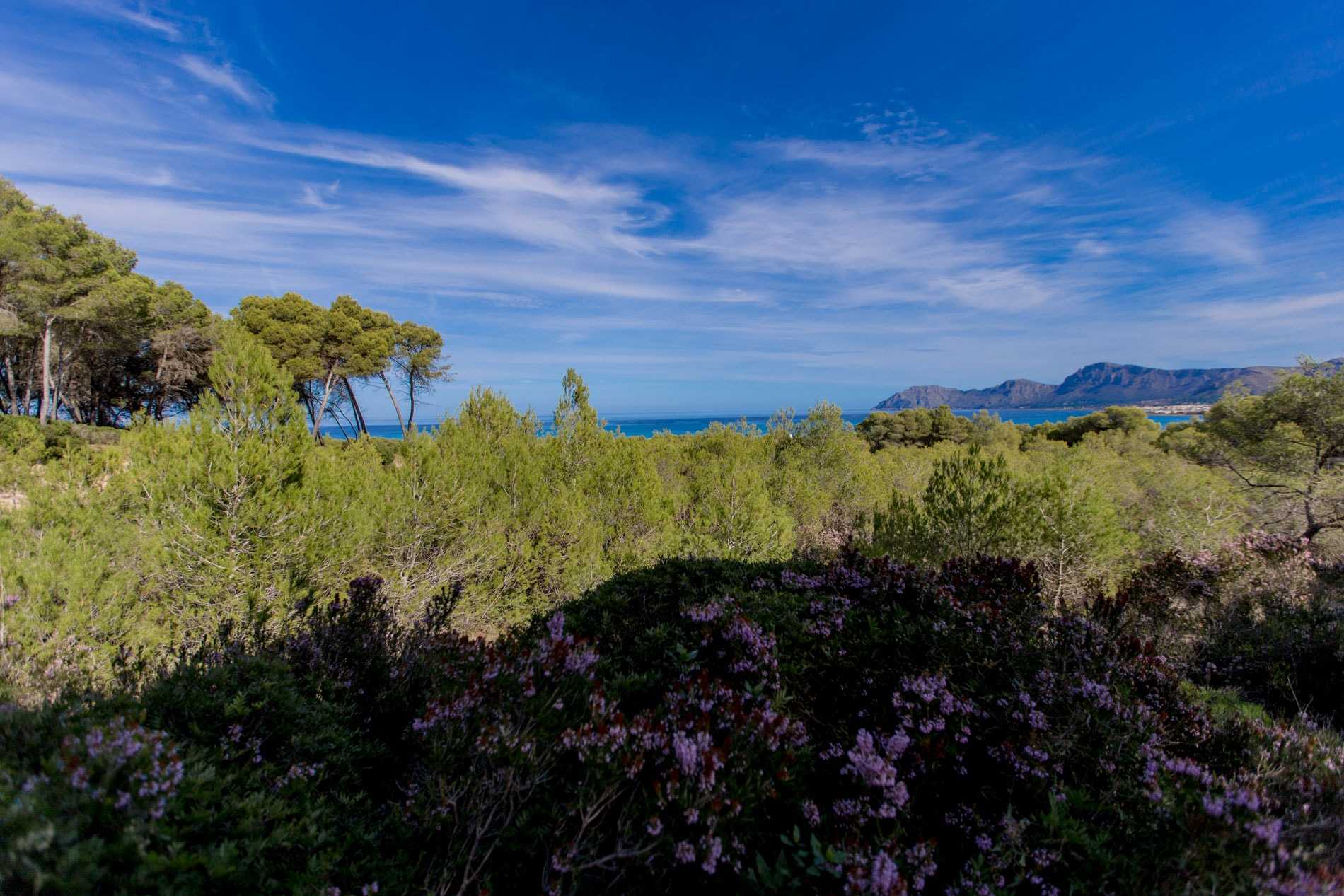 भूमि में Son Serra de Marina, Balearic Islands 11064797
