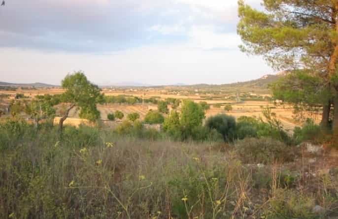 Tanah dalam Sineu, Balearic Islands 11064877
