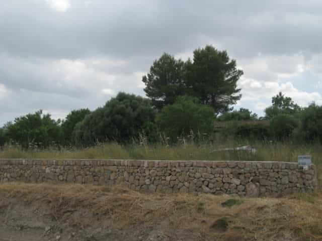 Land in Sineu, De Balearen 11064877