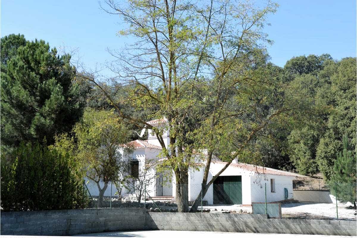 House in Zafarraya, Andalucía 11072241