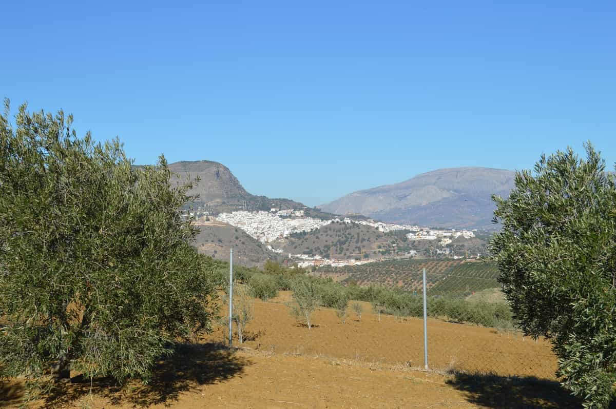 Land in Carratraca, Andalusia 11074719