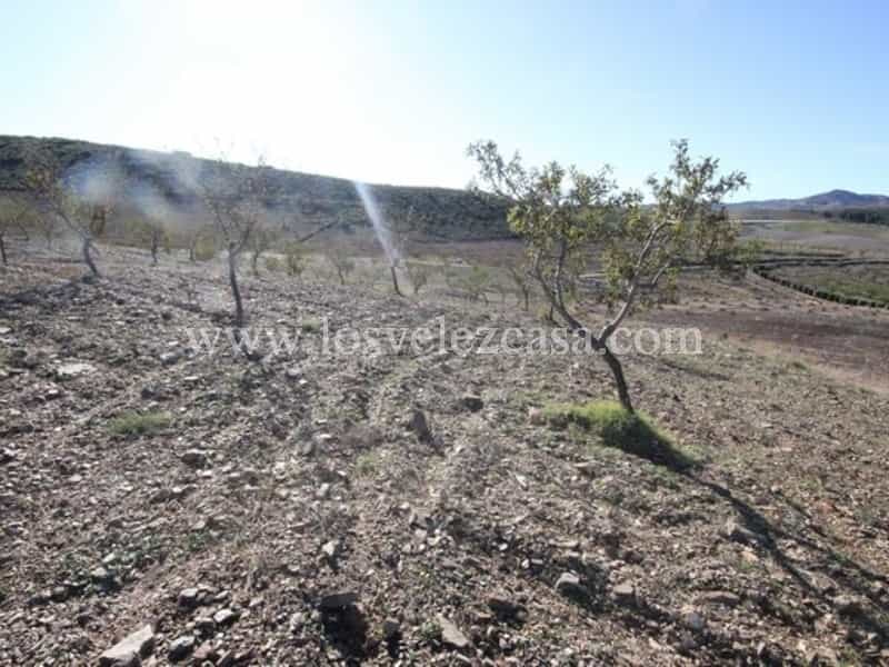 Tanah dalam Velez Rubio, Andalusia 11076091