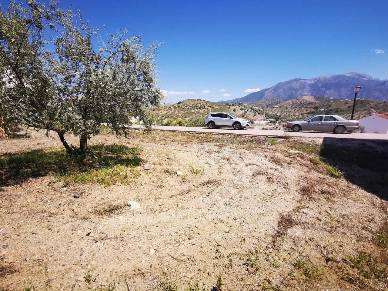 Land in Vinuela, Andalusia 11078288