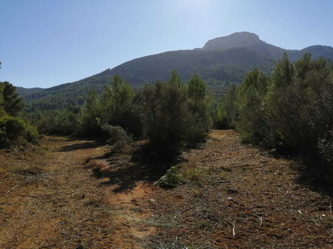 Terre dans Alcalalí, Comunidad Valenciana 11081740