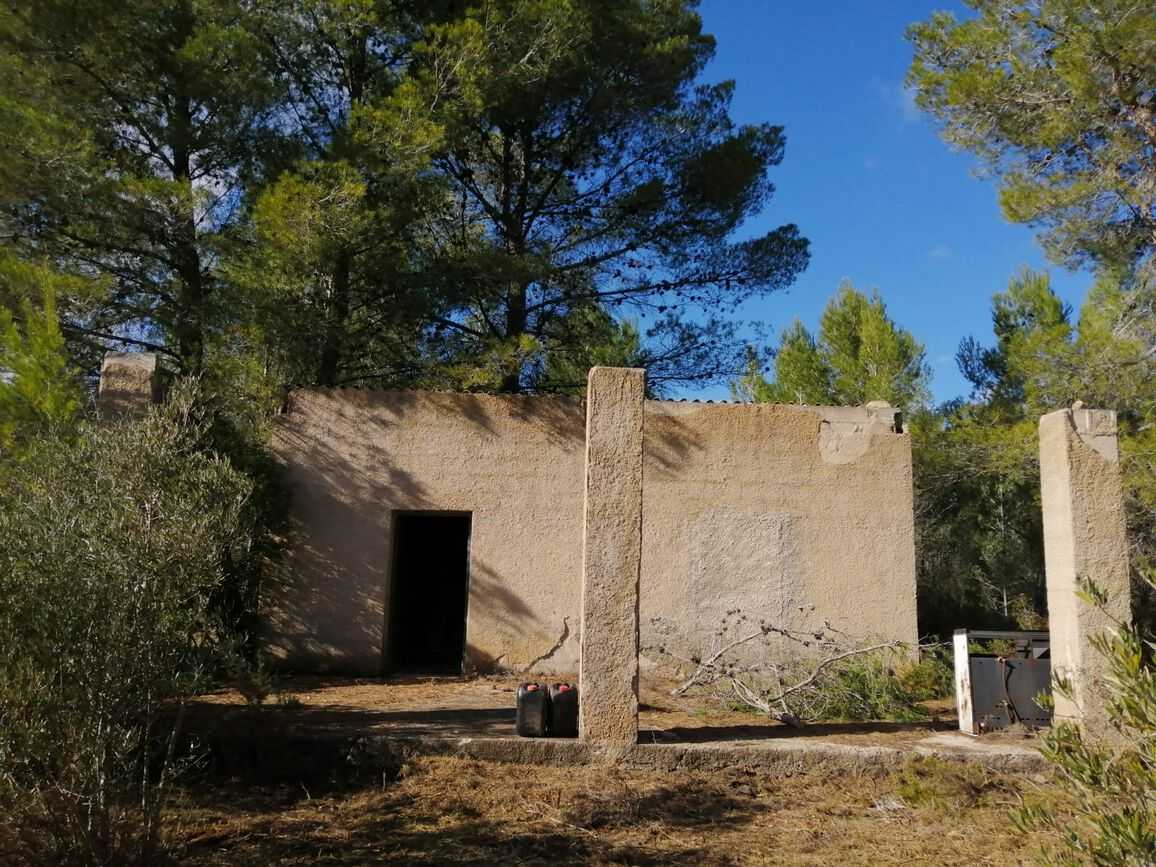 Land im Alcalalí, Comunidad Valenciana 11081740