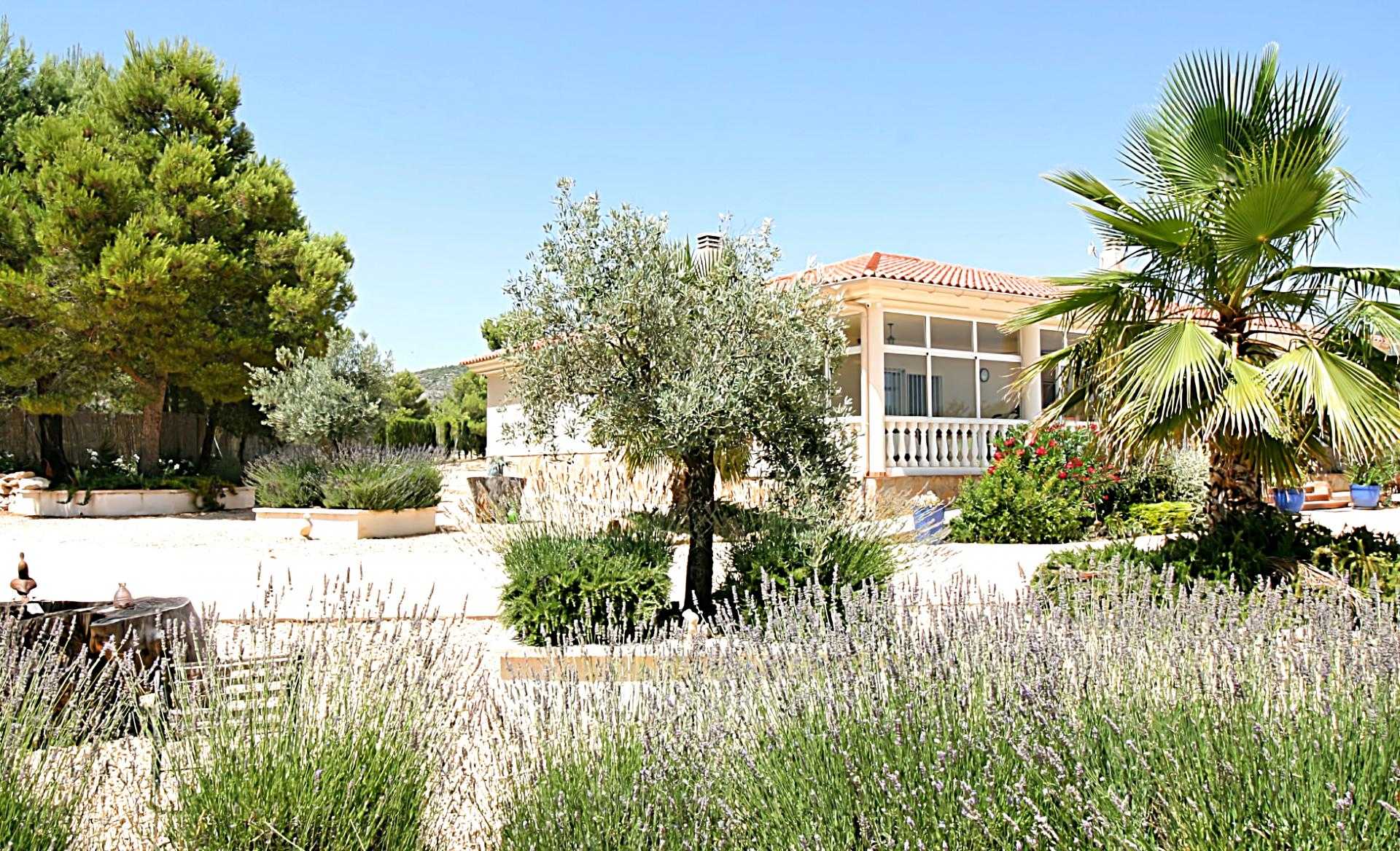 House in , Comunidad Valenciana 11087831