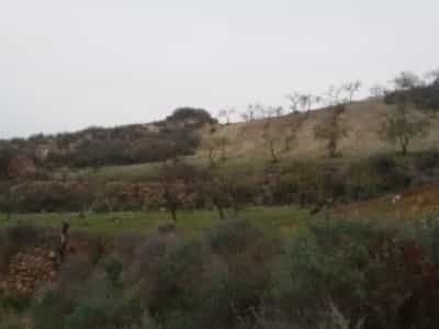 Land in Bedar, Andalusia 11088042
