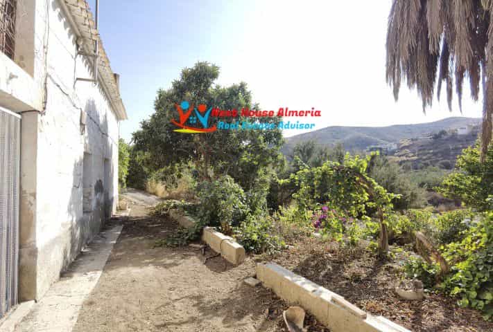 House in Albox, Andalusia 11088629