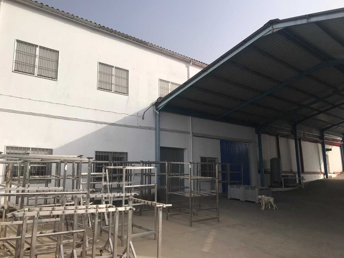 Industrial in Fuente de Cantos, Extremadura 11090564