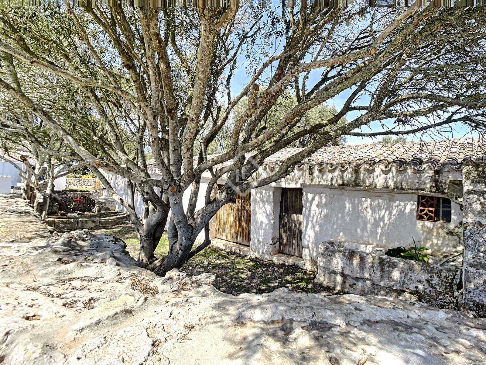 房子 在 圣克莱门特, 巴利阿里群岛 11102158