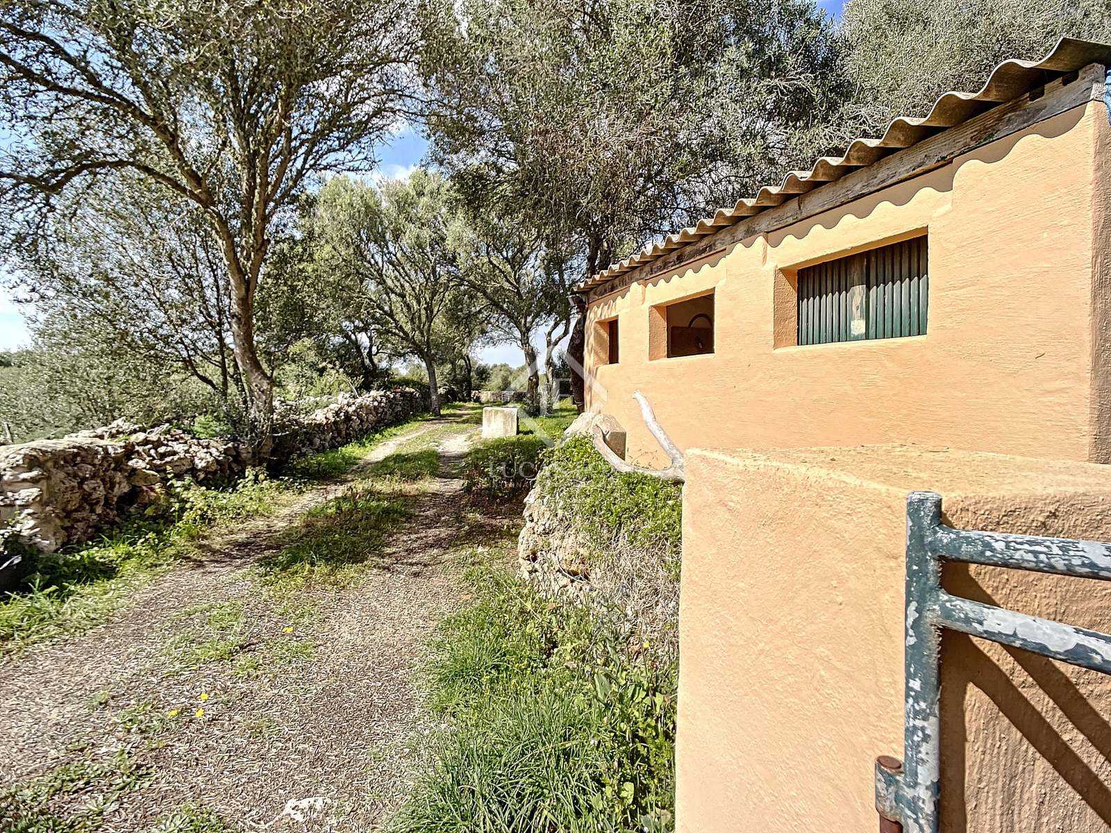 房子 在 Sant Climent, Illes Balears 11102167