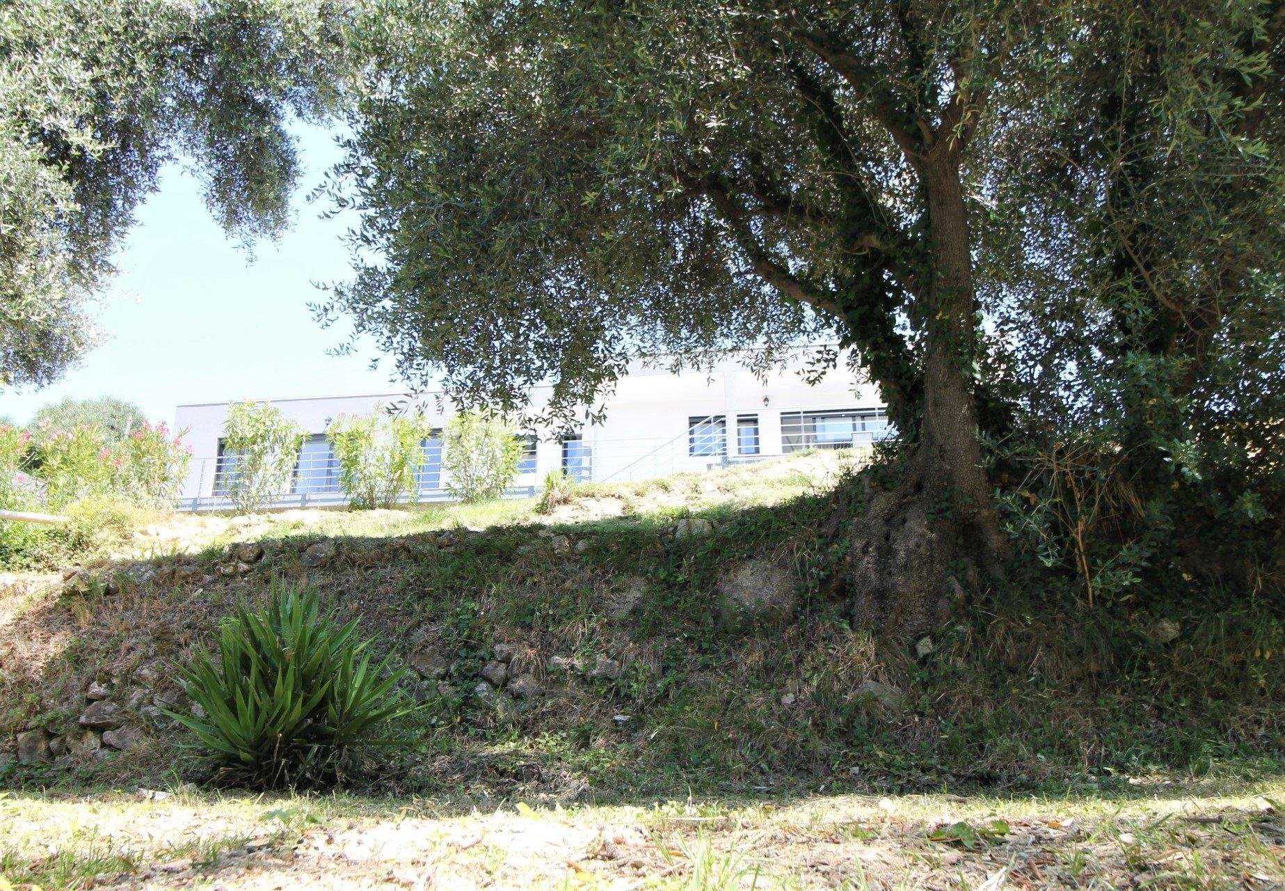 Talo sisään Castellar, Provence-Alpes-Cote d'Azur 11104383