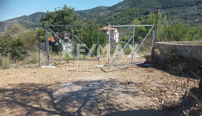 Tanah di Skopelos, Tesalia 11117660