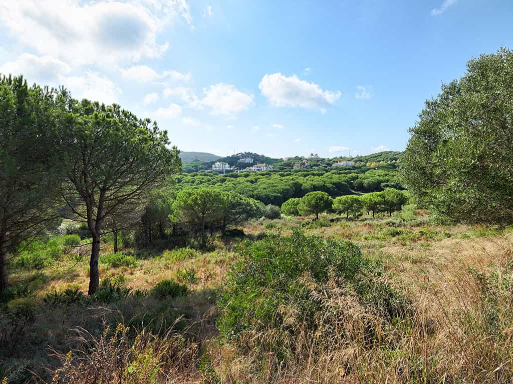 Tanah di San Roque, Andalusia 11120221