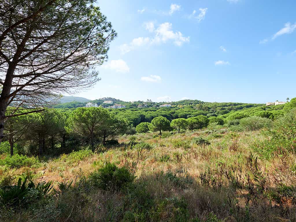 Land in San Roque, Andalusia 11120221