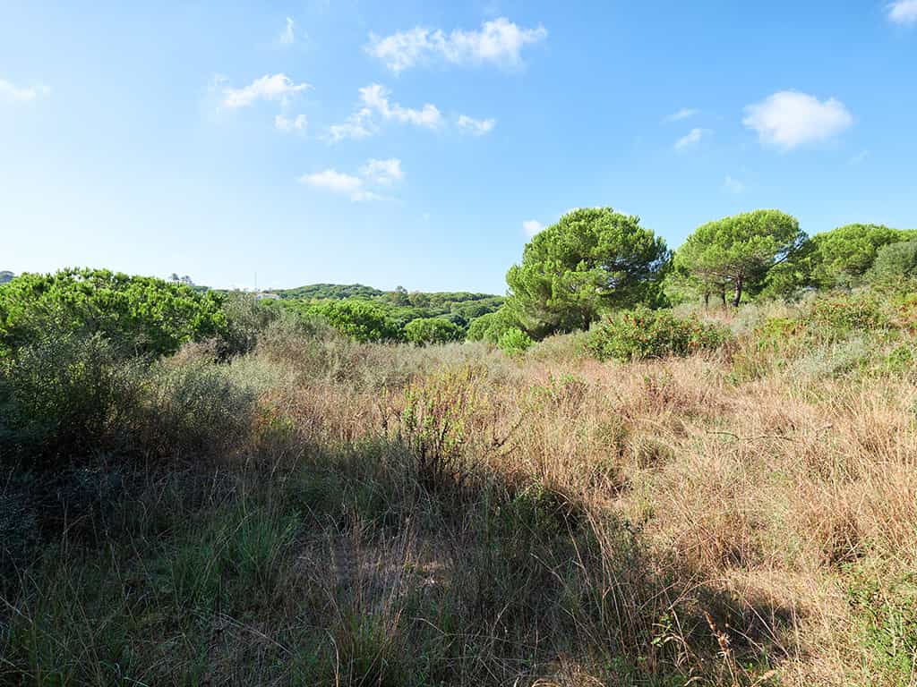 Tanah dalam San Roque, Andalusia 11120221