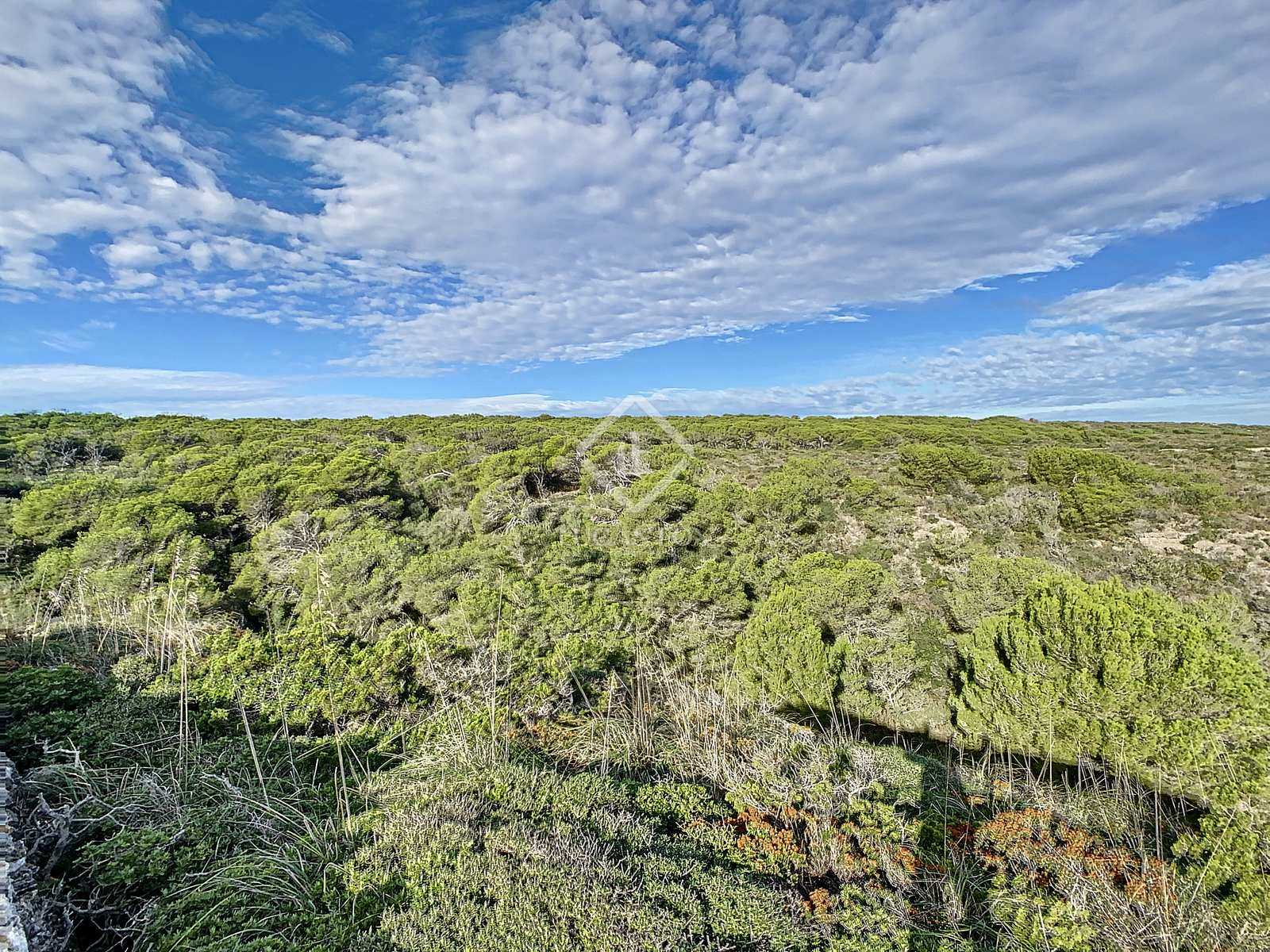 Land in Ferrerias, Balearic Islands 11120949