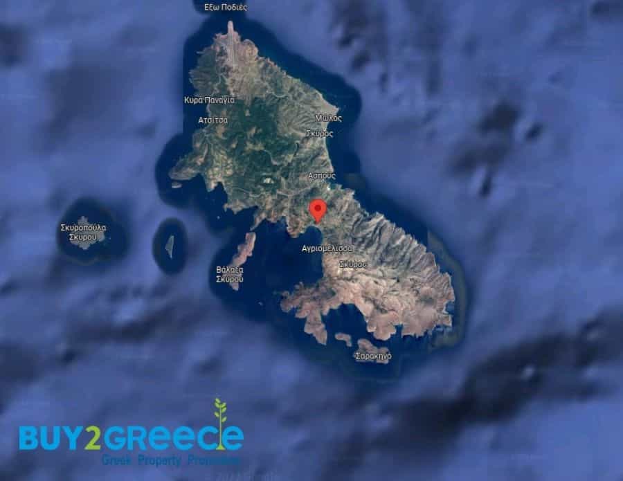 Land in Skyros, Sterea Ellada 11130916