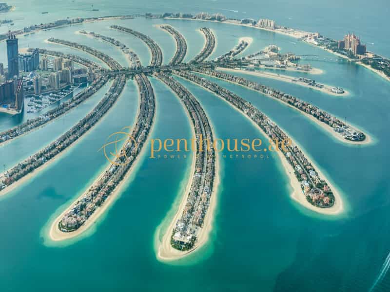 Condominium in Dubai, Dubayy 11135326