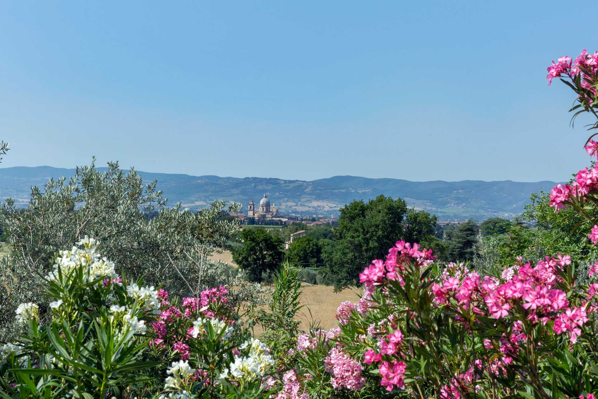 Casa nel Assisi, Umbria 11137561