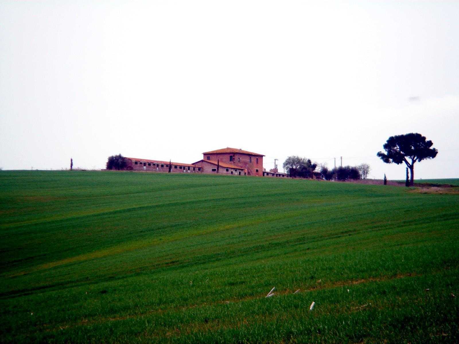 Hus i Valiano, Toscana 11138002