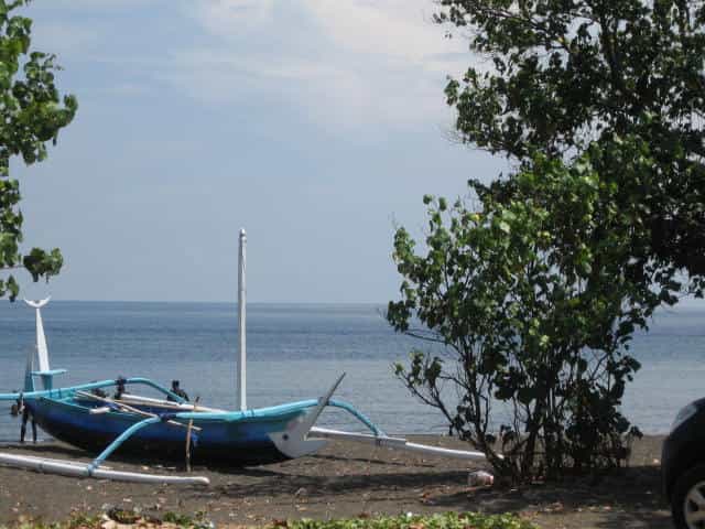 Terre dans Bayan, Bali 11139558
