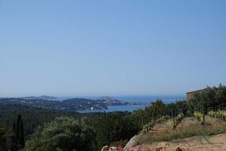loger dans Sanary sur Mer, Provence-Alpes-Côte d'Azur 11140741