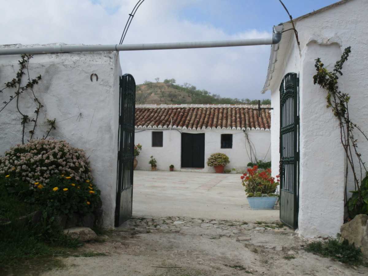 House in Ardales, Andalusia 11140952