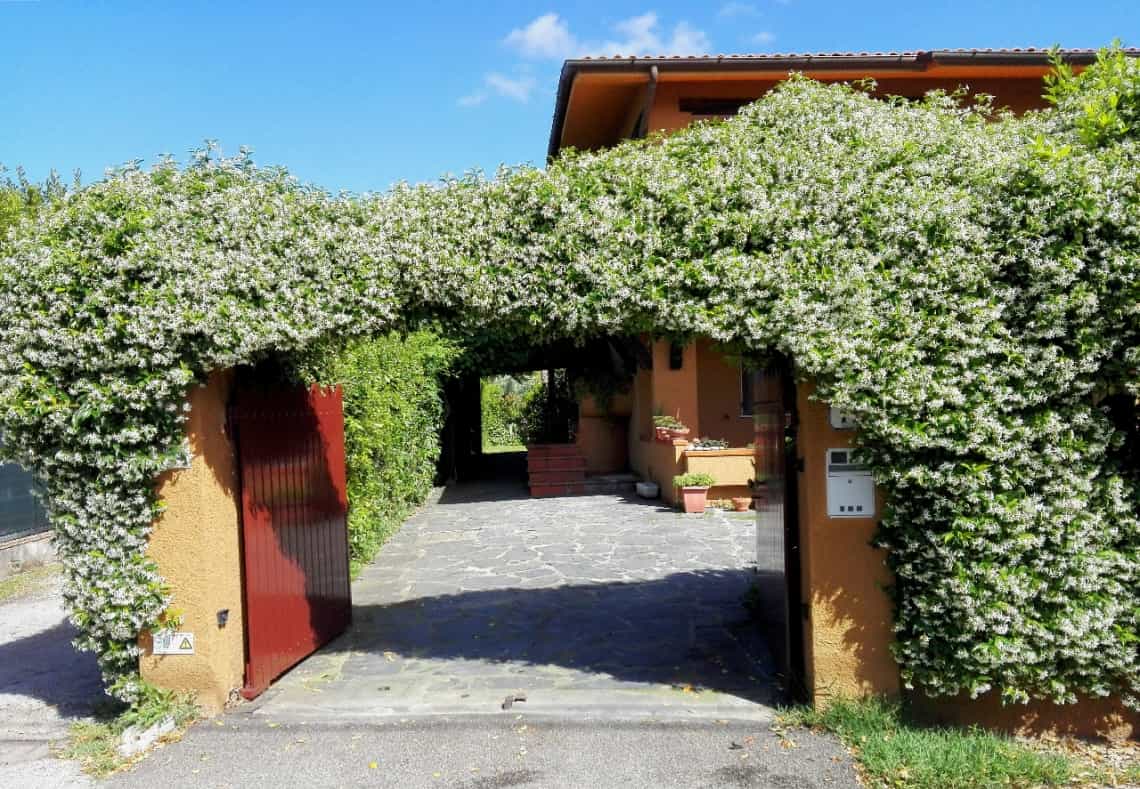 σπίτι σε Forte dei Marmi, Τοσκάνη 11143000