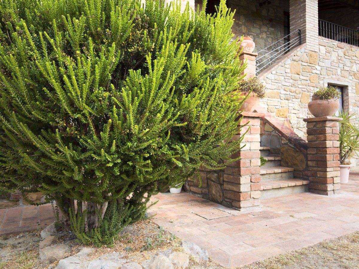 жилой дом в Montaione, Toscana 11145442
