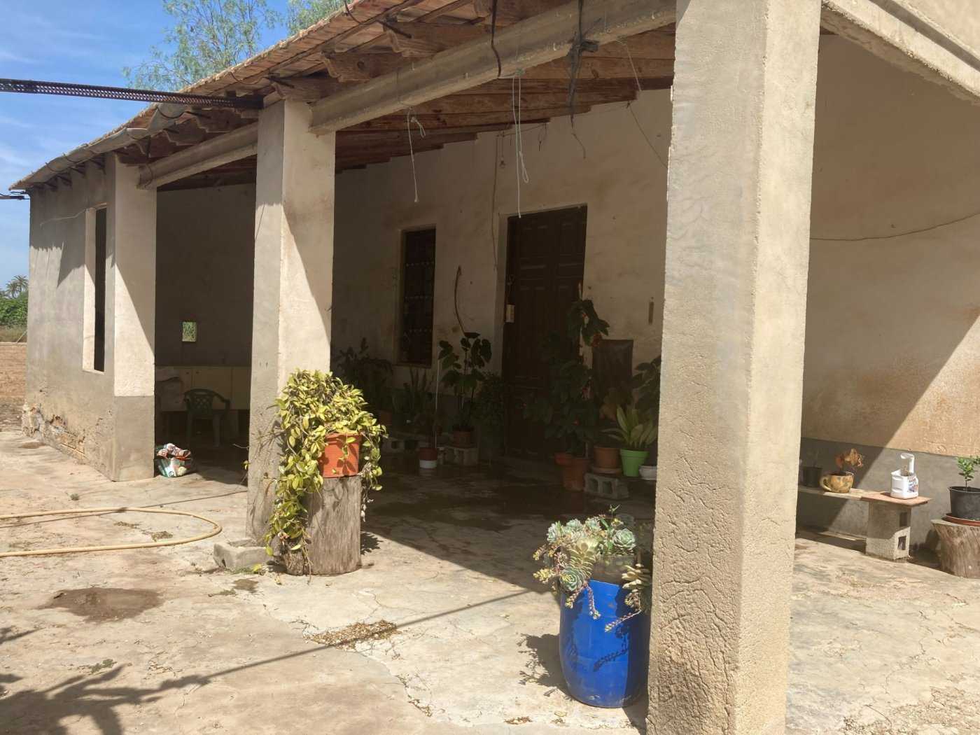 House in Elche, Valencian Community 11146367